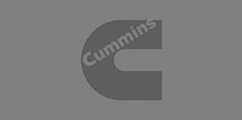 Cummins